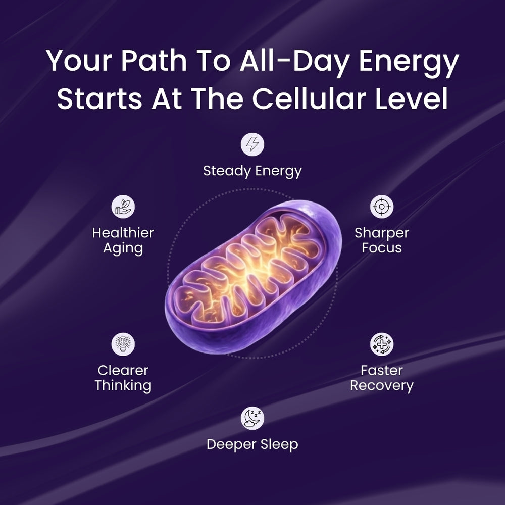 NMN Complex | 10-in-1 Cellular Energy Formula by ACROM™