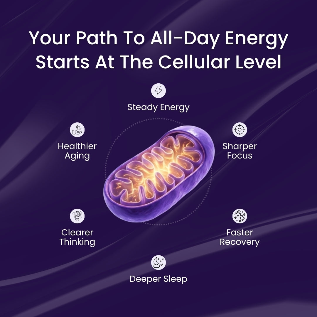 NMN Complex | 10-in-1 Cellular Energy Formula by ACROM™